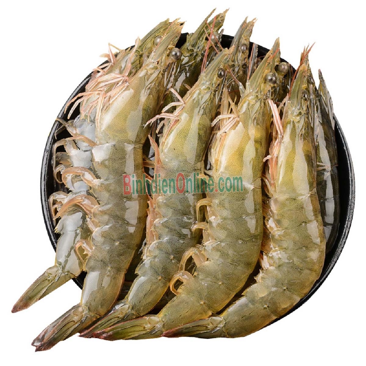 Tôm thẻ tươi sống loại 1